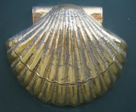 Scallop shell